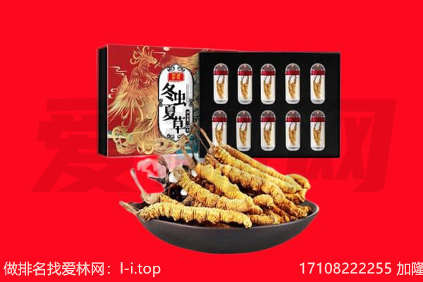 铜仁印江县回收虫草.jpg